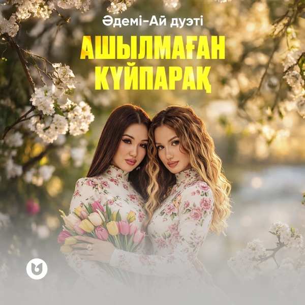 Ашылмаған күйпарақ