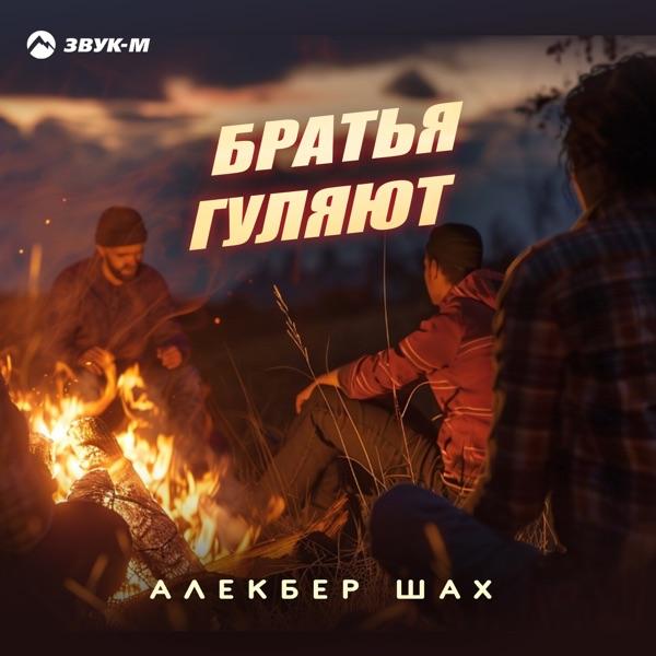 Алекбер Шах – Братья гуляют