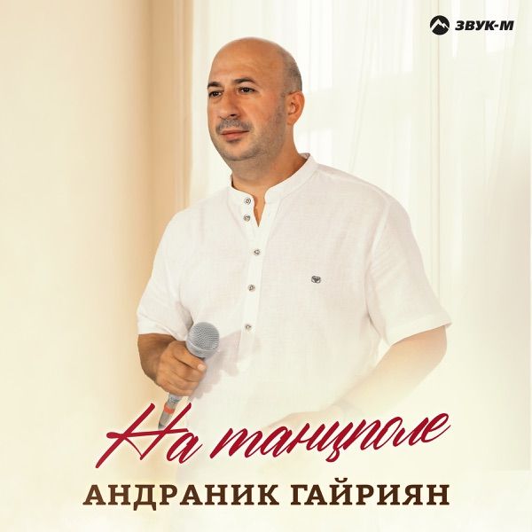 Андраник Гайриян – На танцполе