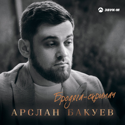 Бродяга скрипач