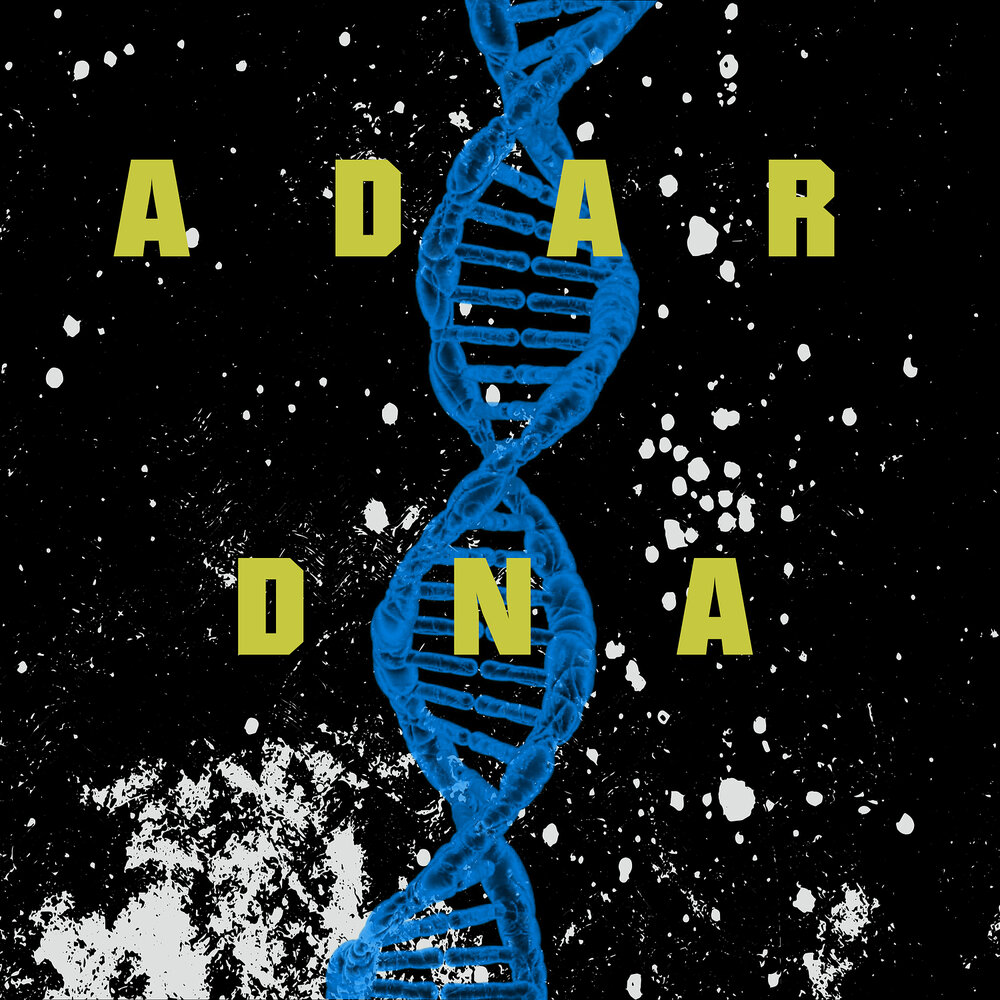 Adar