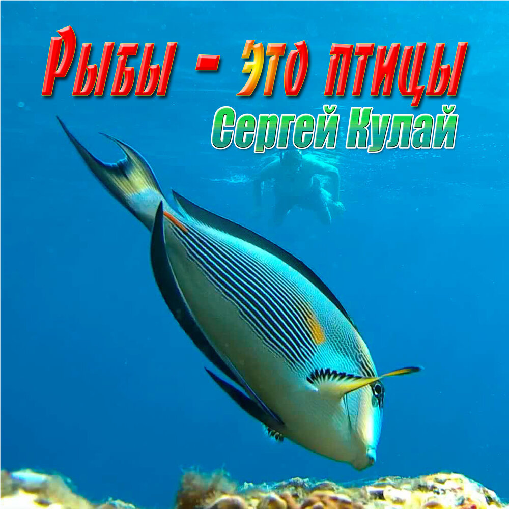 Алекс Андреев