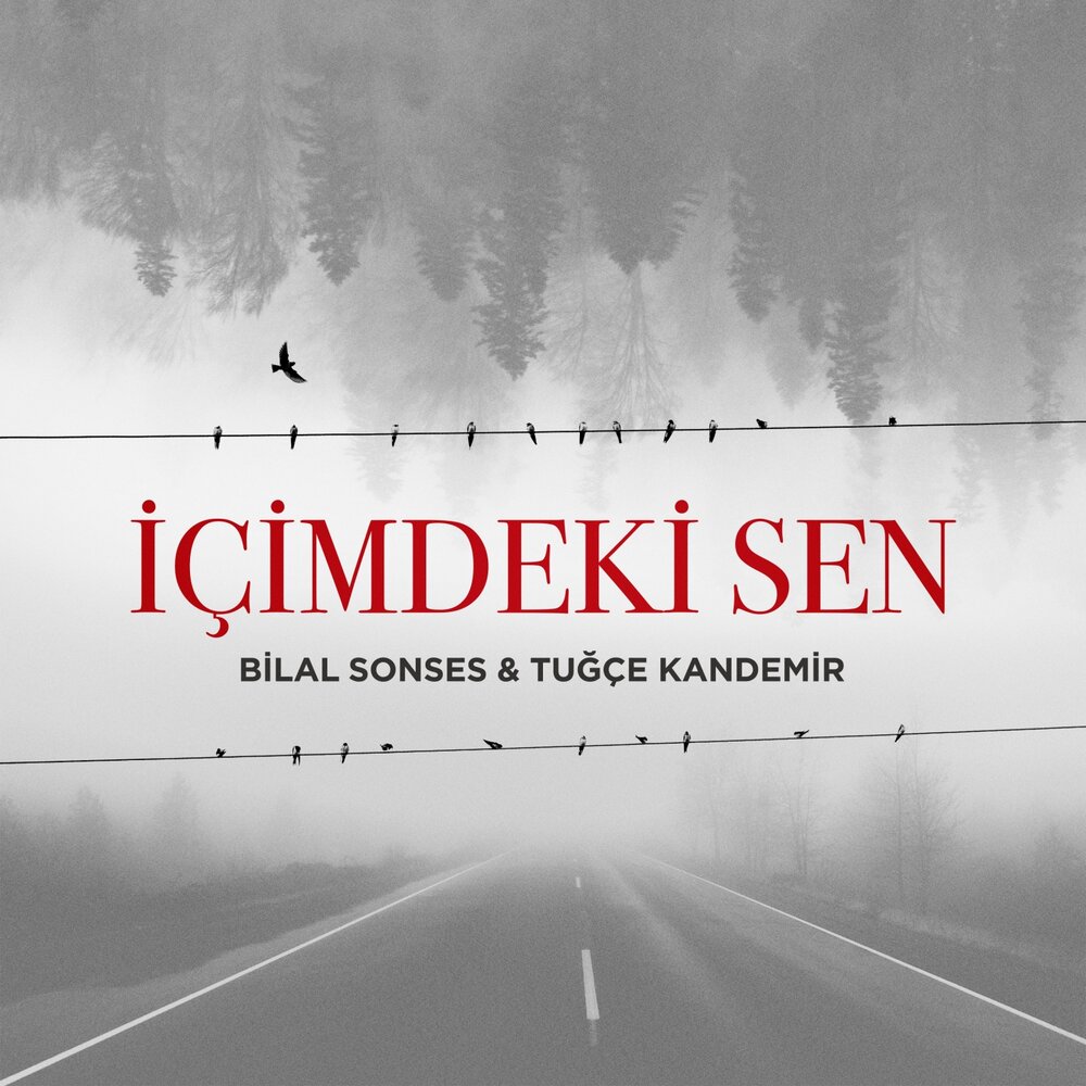 Bilal SONSES