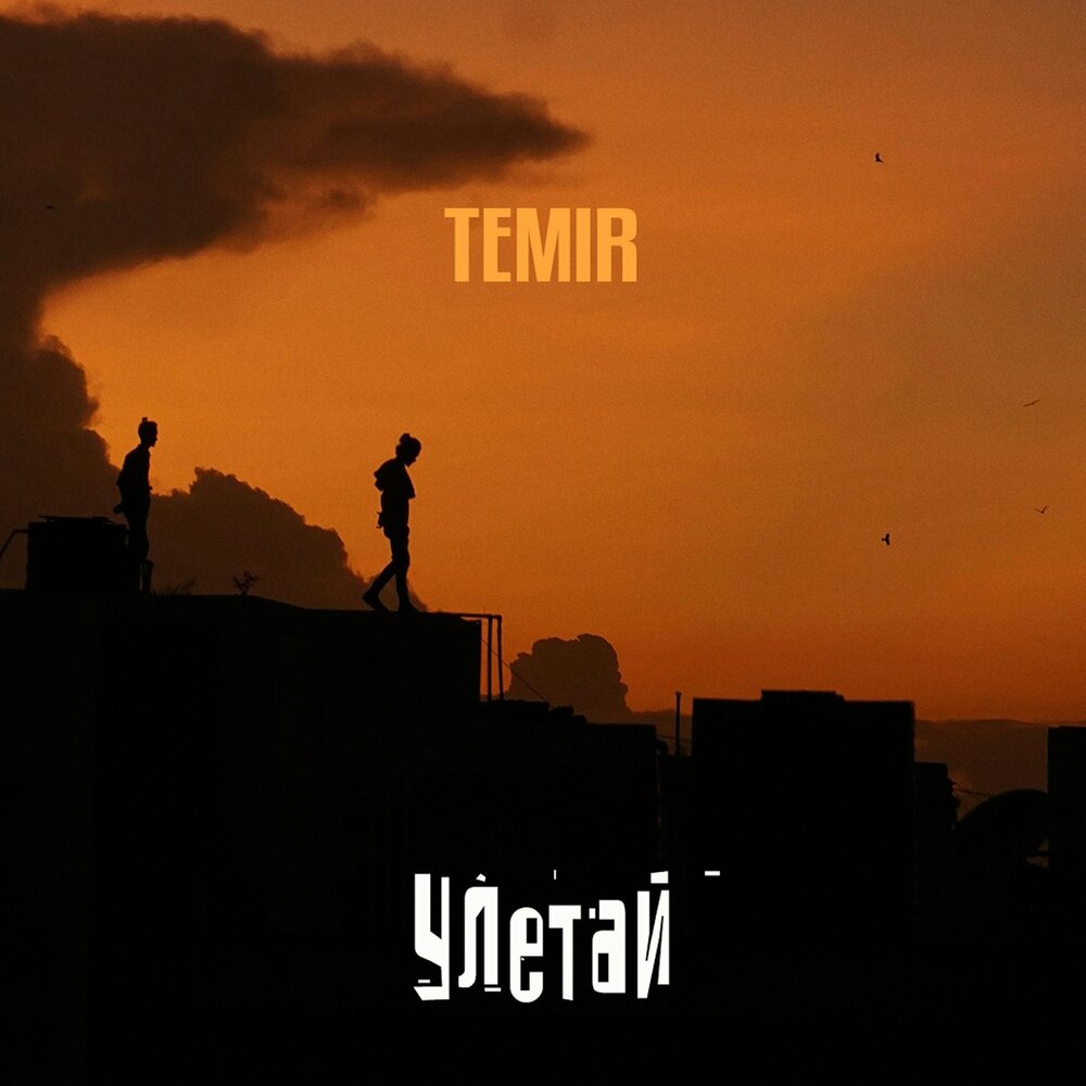 Temir