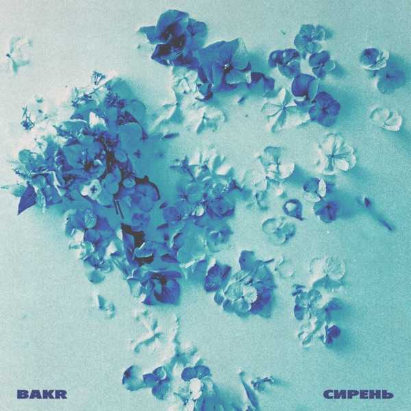 Bakr – Апрельская сирень взяла за душу мою