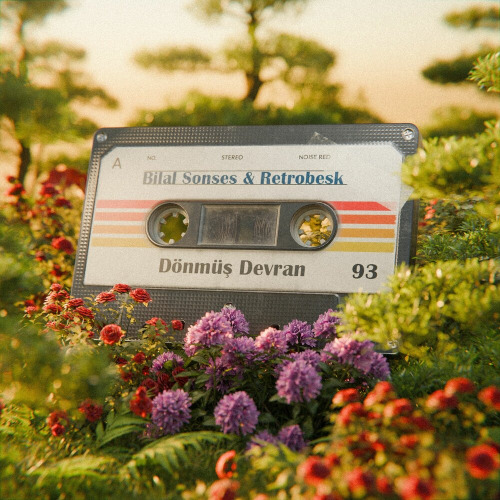 Dönmüş Devran