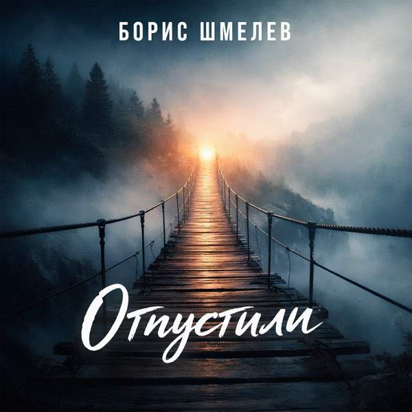 Отпустили
