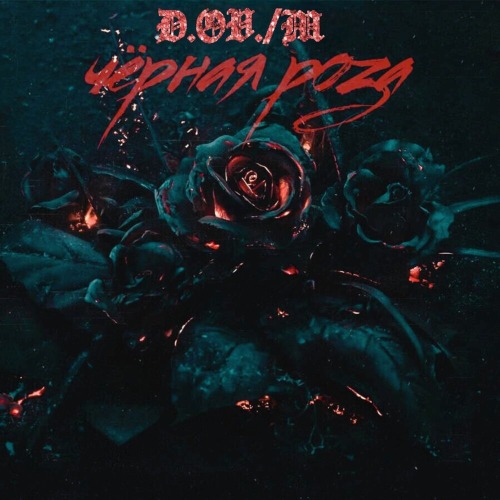 D.ov._M – Черная Роза