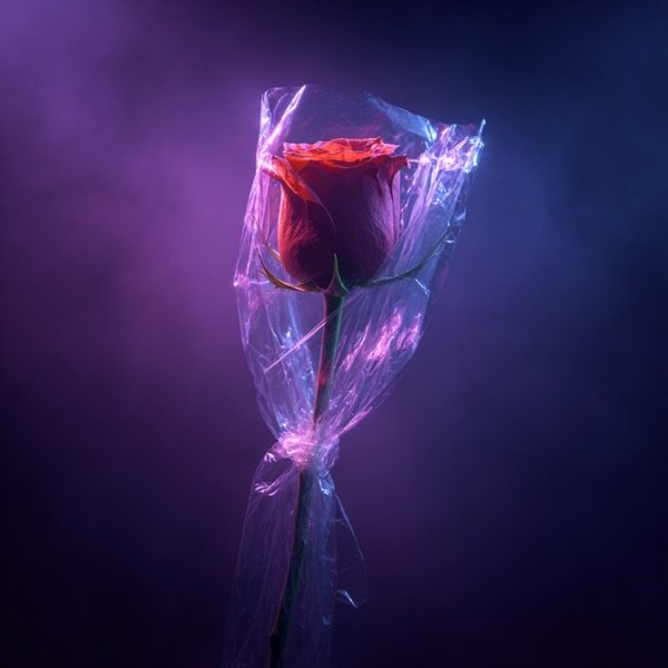 Da'Ladno – Роза в Целлофане