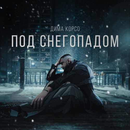 Под снегопадом