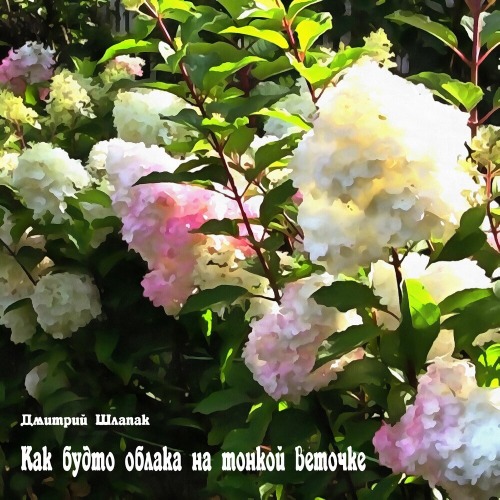 Тонкими ветвями
