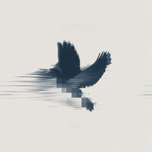 Electrobirds – Осколки