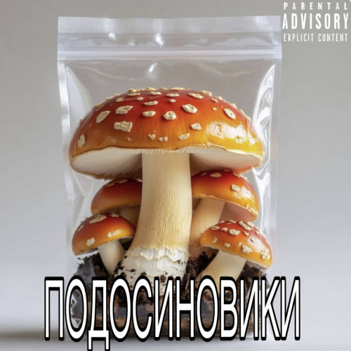 Fchansky – ПОДОСИНОВИКИ