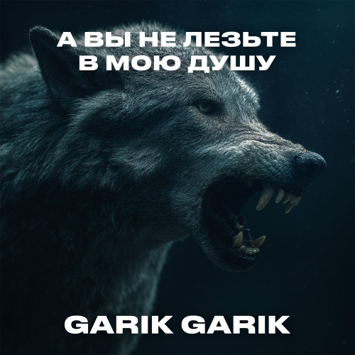 Garik Garik – А вы не лезьте в мою душу я сам порядок наведу