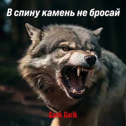 Garik Garik – Не суди и не будешь судимым
