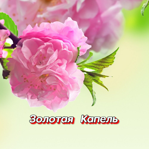 Гравитация – Ты Послан Мне Судьбой