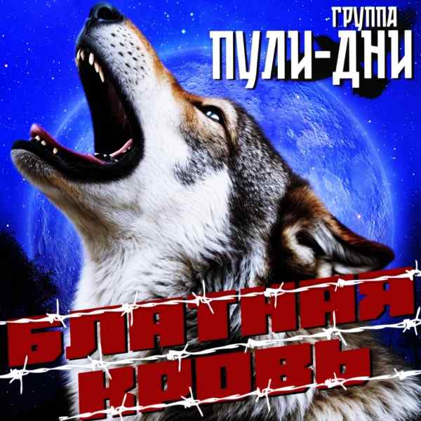 Группа Пули–Дни – Взял всё на себя