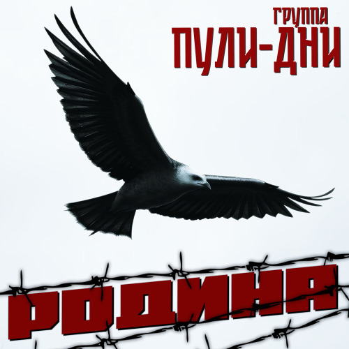 Группа Пули–Дни, Константин Жиляков – Когда война закончится