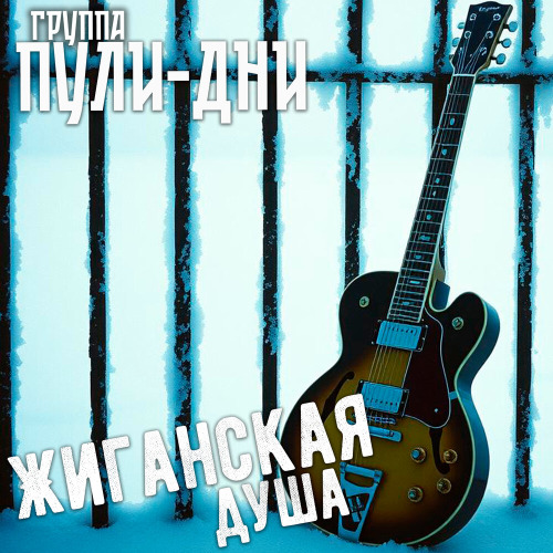 Группа Пули–Дни, Константин Жиляков – Салажонок