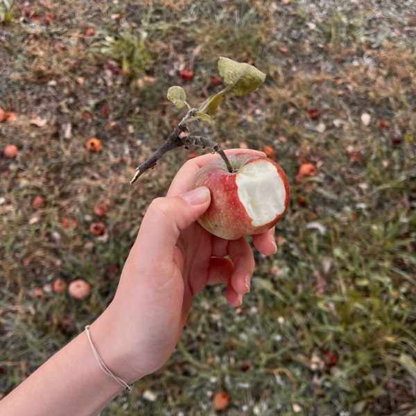 Ты любил