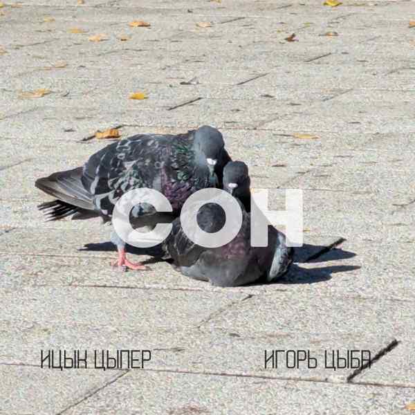Сон