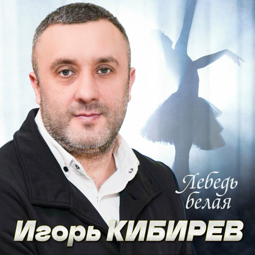 Лебедь белая
