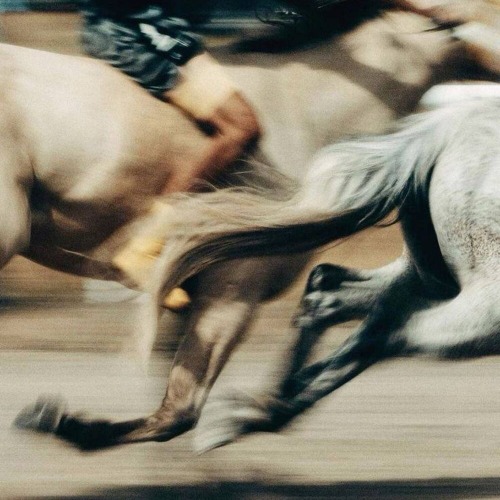 ISMA – Сафари