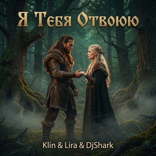 Я тебя отвоюю