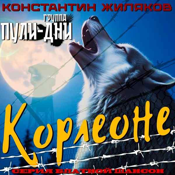 Константин Жиляков, Пули Дни – Зары