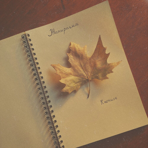 kosmuse – Жапырагым