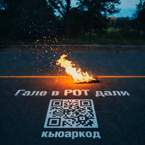 Гале в рот дали
