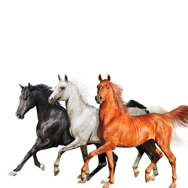 Old Town Road (Remix)