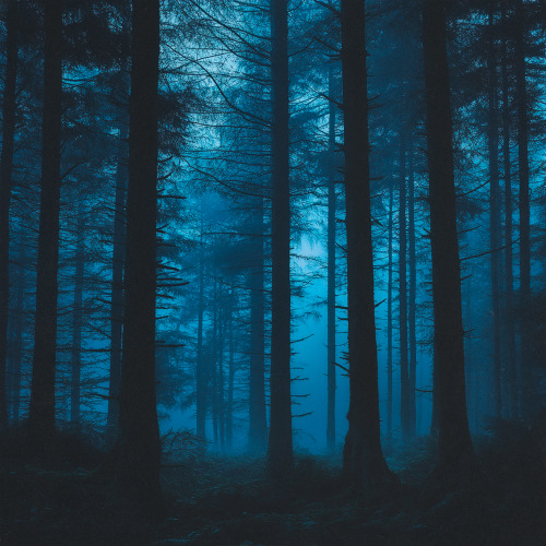 lonely. – despair