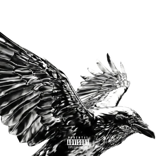 Massima & Koda – CROWS