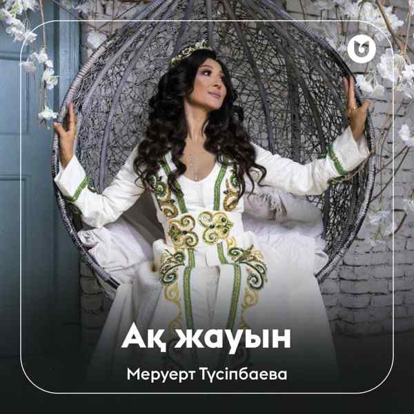 Меруерт Түсіпбаева – Ақ жауын (AI Кавер)