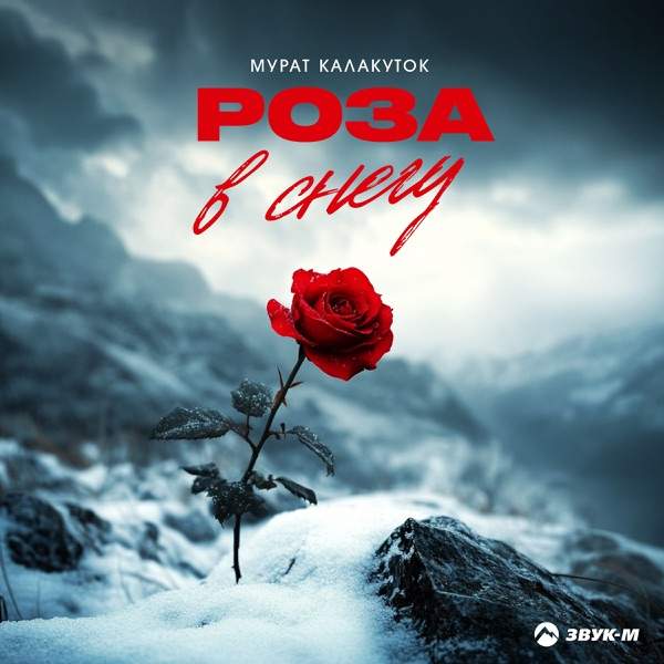 Роза в снегу