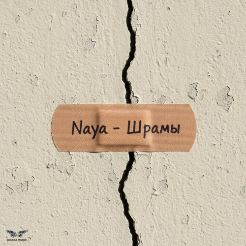 Шрамы