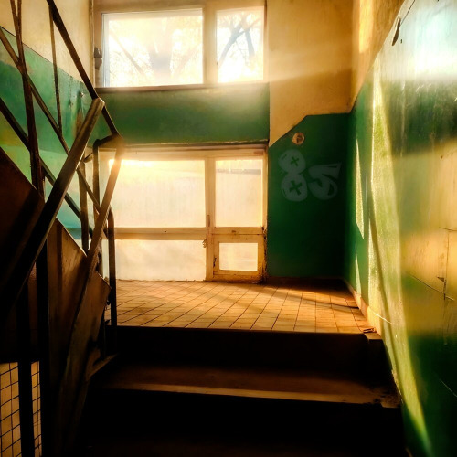 Солнечное лето