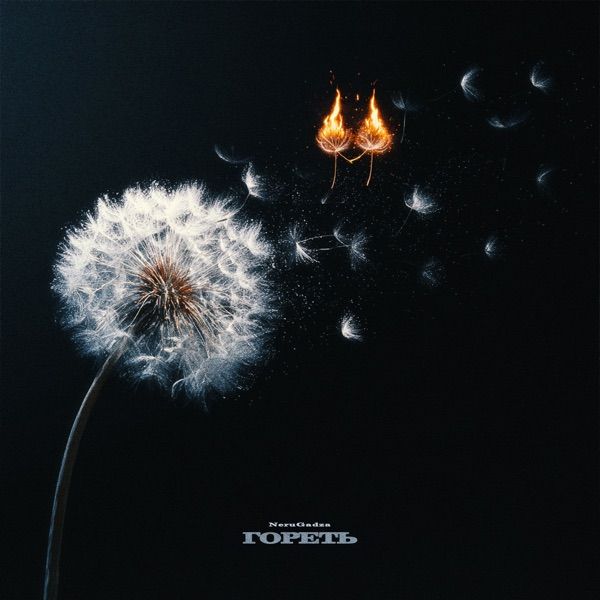 NeruGadza – Гореть