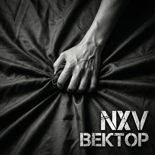 Вектор