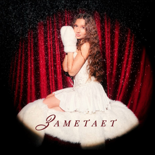 Заметает