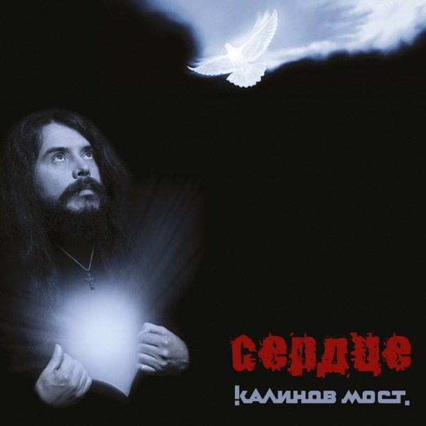 Дикий лебеди