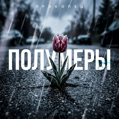 Полумеры