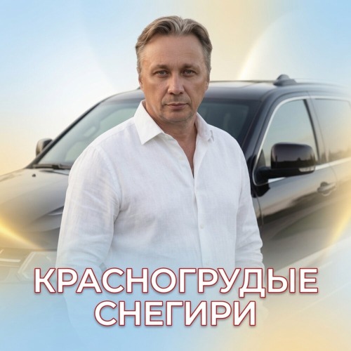 Красногрудые Снегири