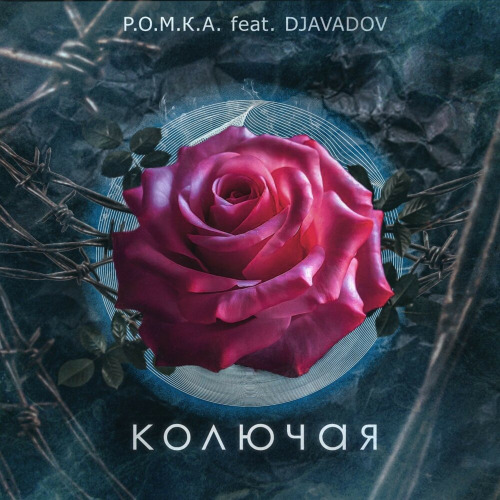 R, Вишки – Колюча