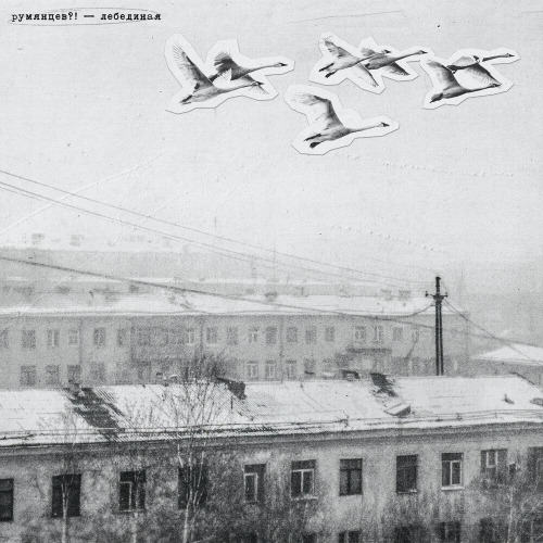Румянцев - Лебединая