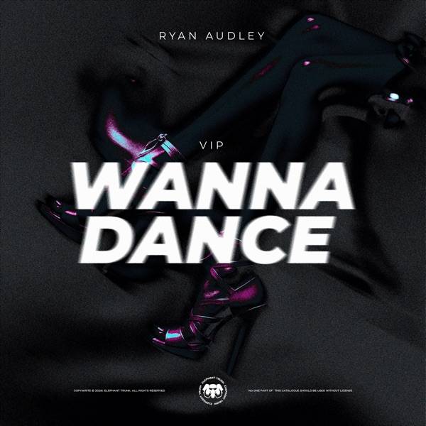 Ryan Audley – Wanna Dance (VIP)