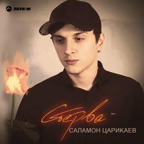 Стерва