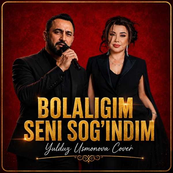 Sog'indim yor (Cover Version)