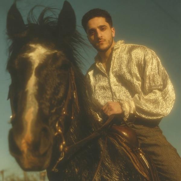 Гордая гордая но для меня одна (Remix)